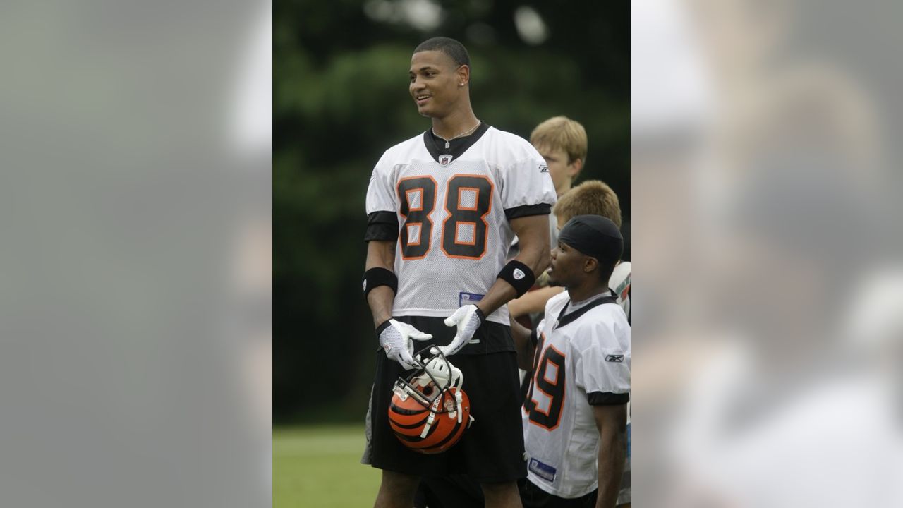 Cincinnati Bengals wide receiver Terrell Owens (81) in action during  football training camp during the NFL football team's practice, Thursday,  July 29, 2010, in Georgetown, Kentucky. (AP Photo/Al Behrman Stock Photo -  Alamy