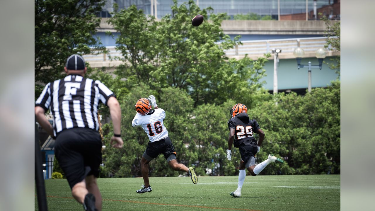 Cincinnati Bengals - The #Bengals 2019 Schedule. #NewDEY Single