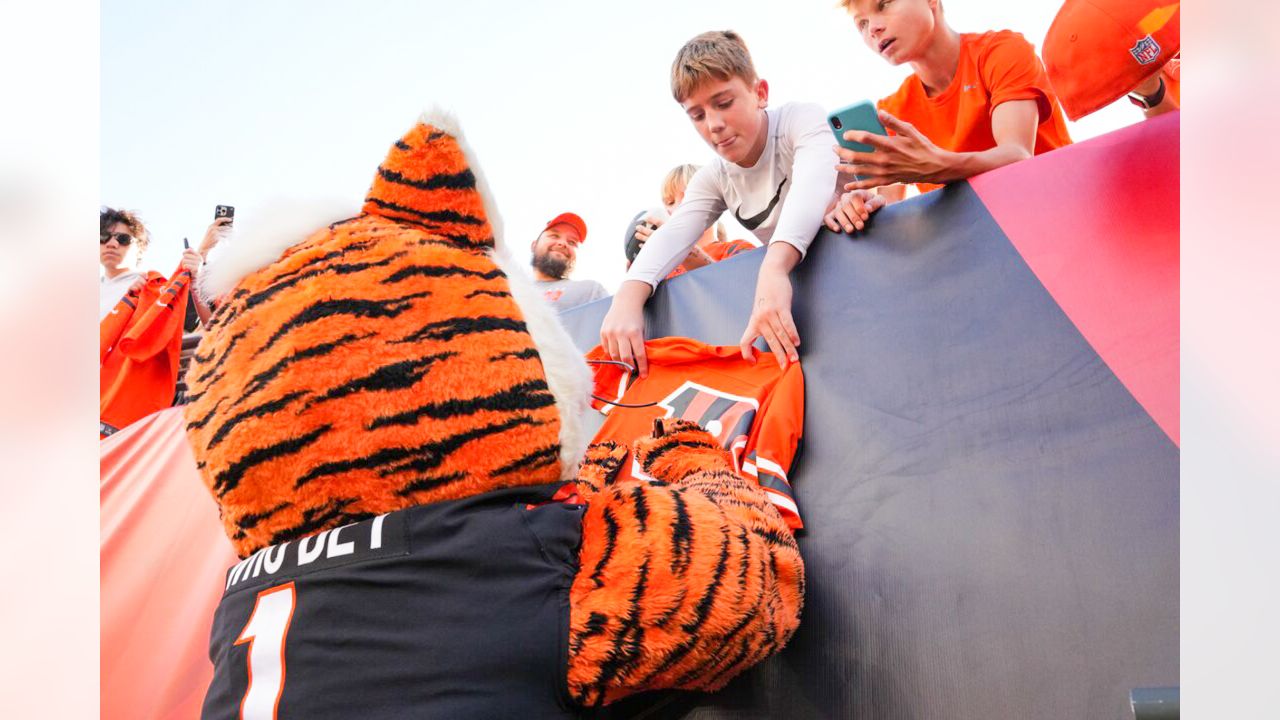 WCPO 9 on X: The field is painted and ready at Paycor Stadium for the @ Bengals' white-out game against the @MiamiDolphins. You can watch  Thursday's game on WCPO. Kickoff is at 8:15