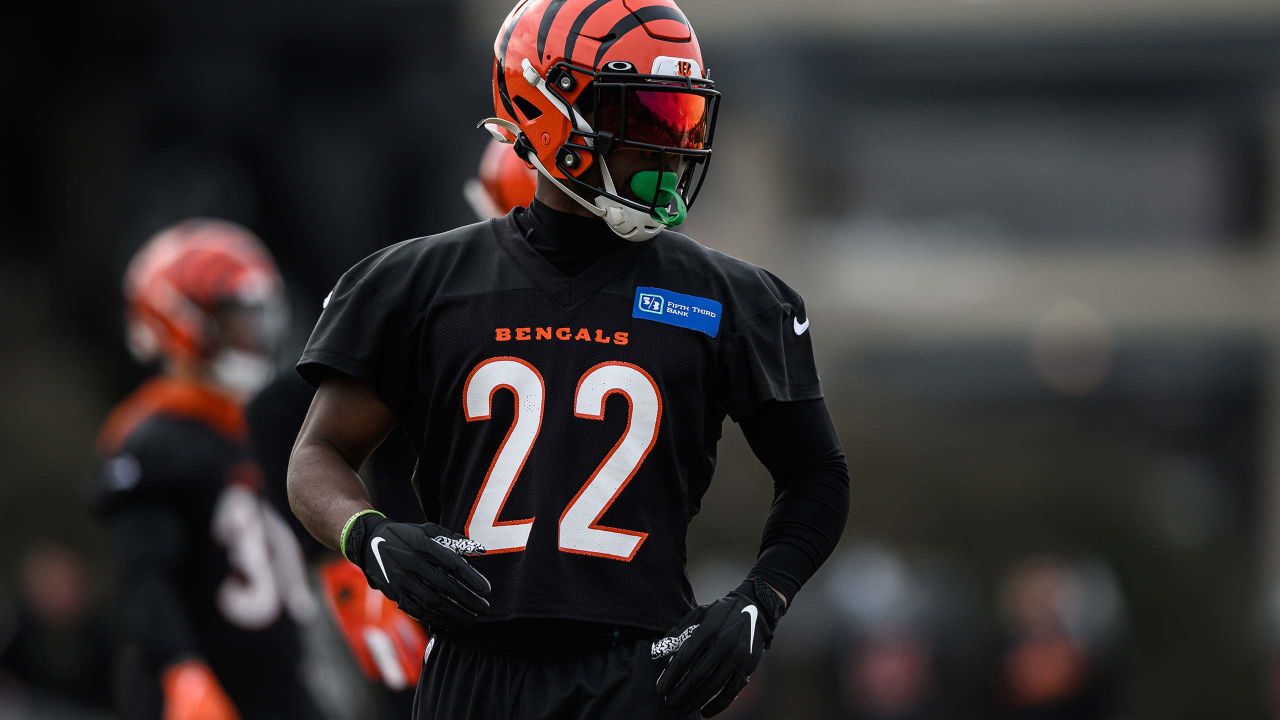 Quick Hits: Roger Goodell happy for Bengals after AFC Wild Card win