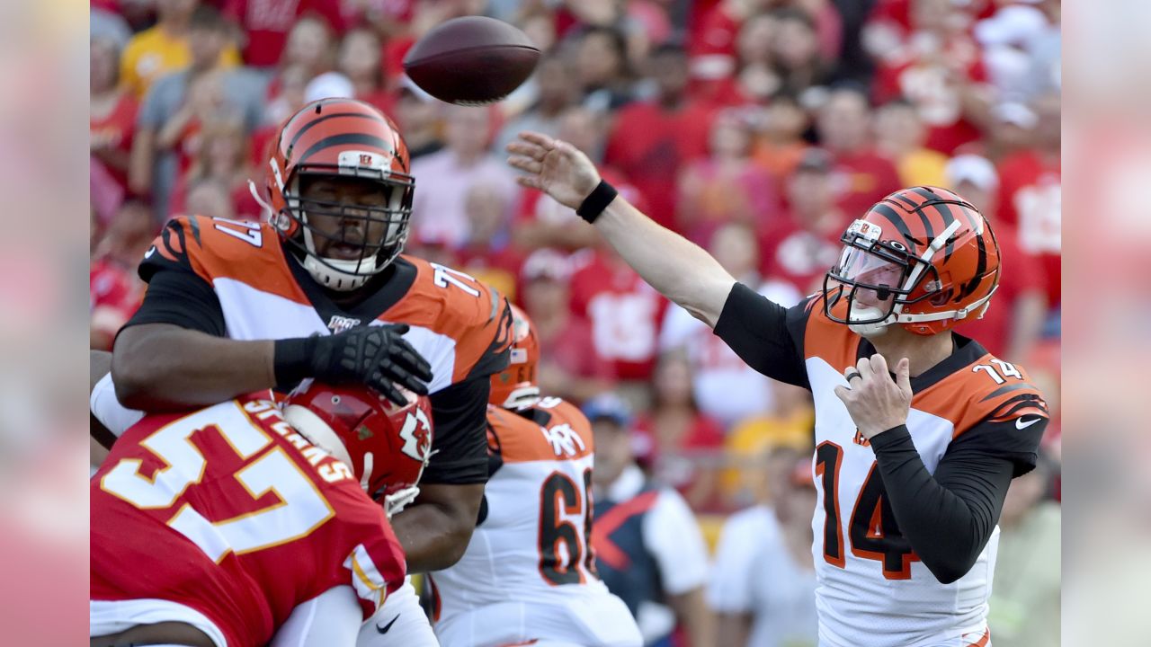 CINCINNATI, OH - AUGUST 16: Cincinnati Bengals wide receiver Auden