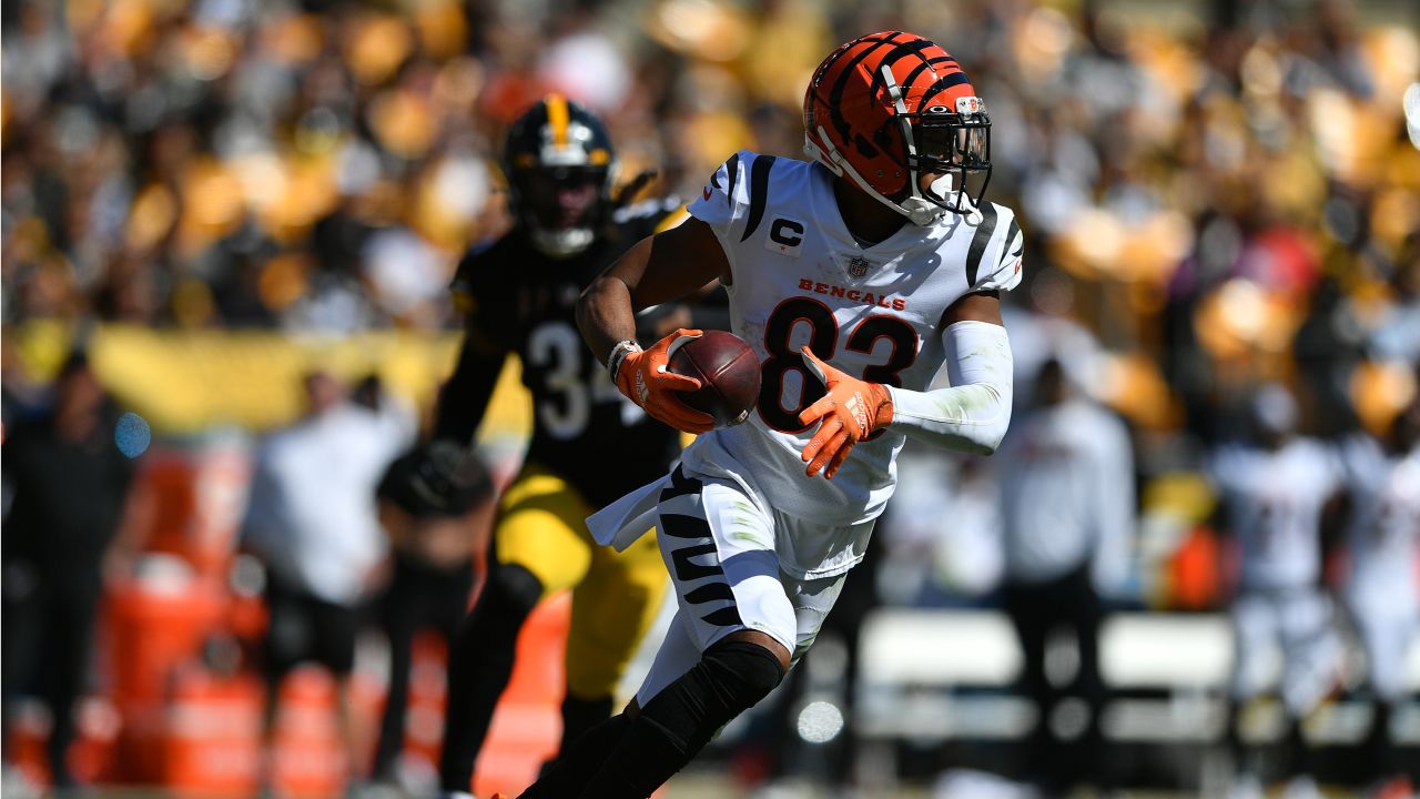 Bengals embarrass Steelers 24-10