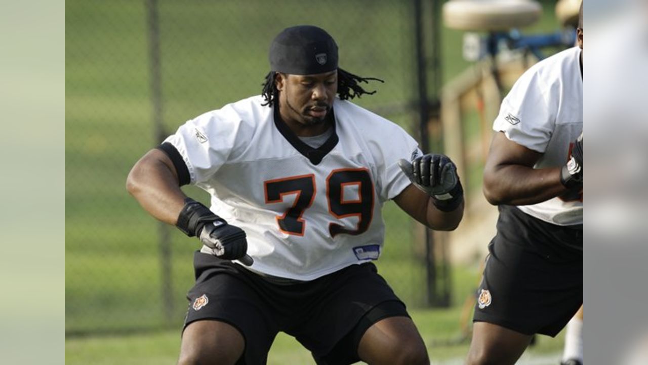 Cincinnati Bengals wide receiver Terrell Owens (81) in action during  football training camp during the NFL football team's practice, Thursday,  July 29, 2010, in Georgetown, Kentucky. (AP Photo/Al Behrman Stock Photo -  Alamy