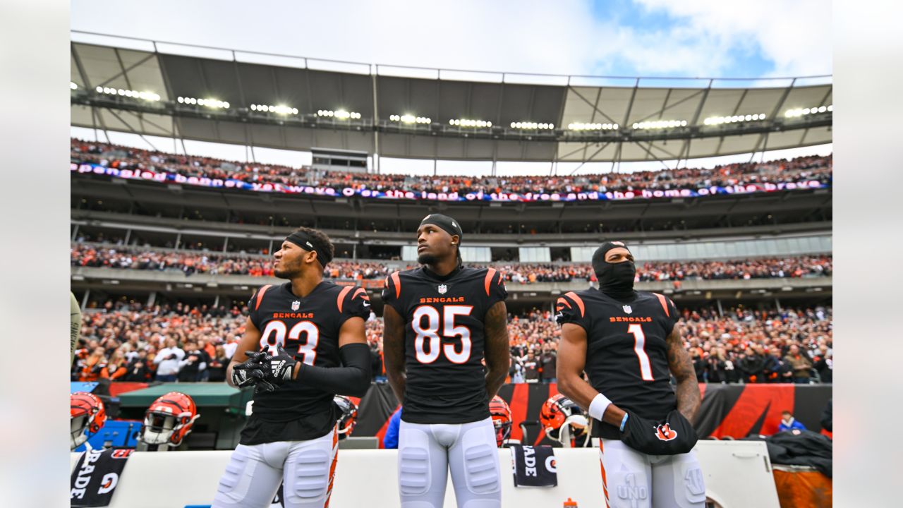 PHOTOS: Browns end season on a low note, fall to Bengals 33-23