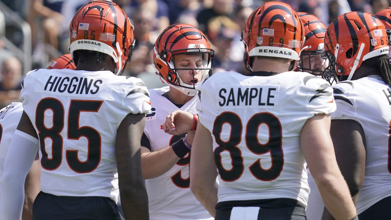 Cincinnati Bengals lose to Chicago Bears 20-17