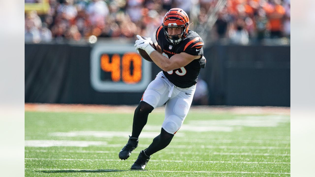 Cincinnati Bengals tight end Drew Sample (89) runs off the field after an  NFL football game against the New York Jets, Sunday, Oct. 31, 2021, in East  Rutherford, N.J. (AP Photo/Adam Hunger