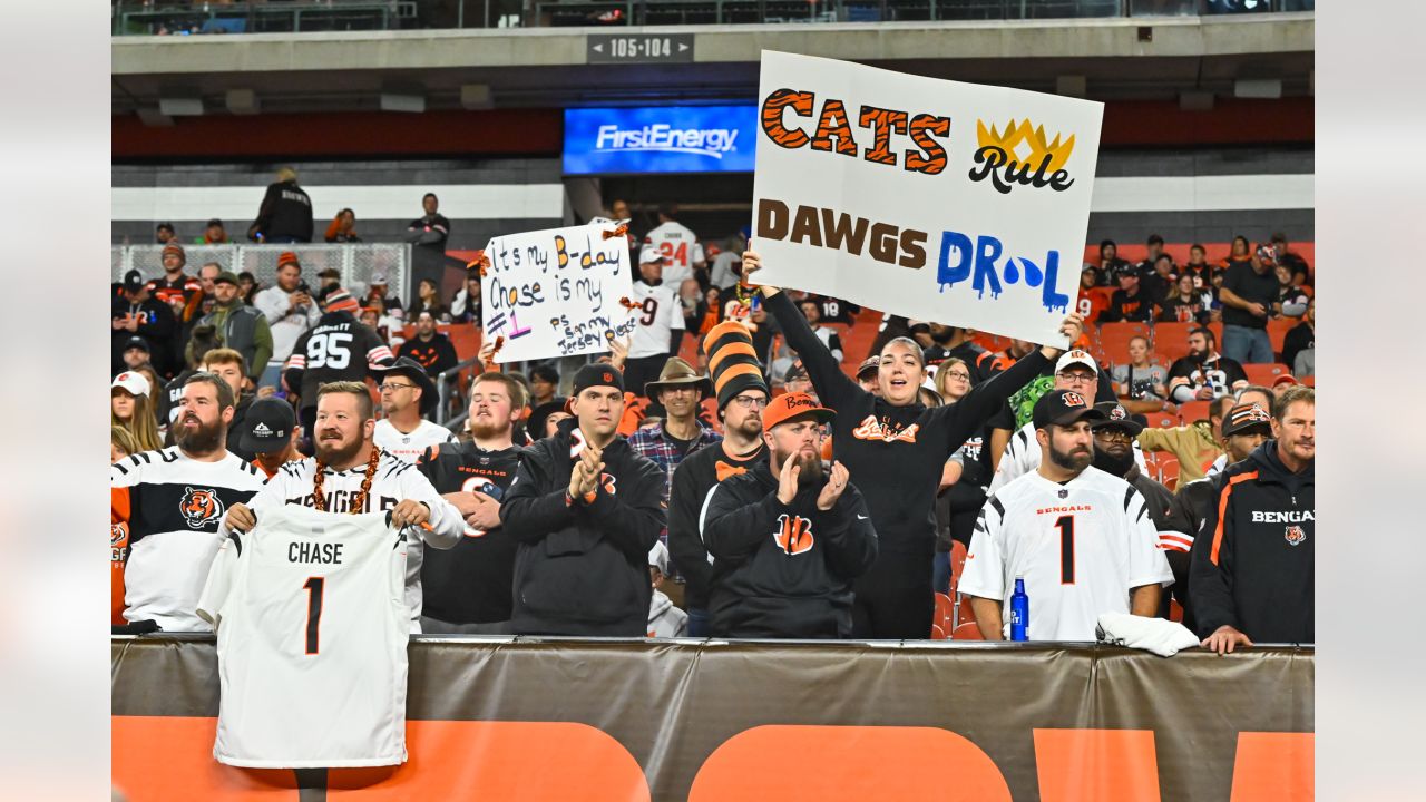 Cincinnati Bengals vs. Cleveland Browns. Fans support on NFL Game.  Silhouette of supporters, big screen with two rivals in background Stock  Photo - Alamy