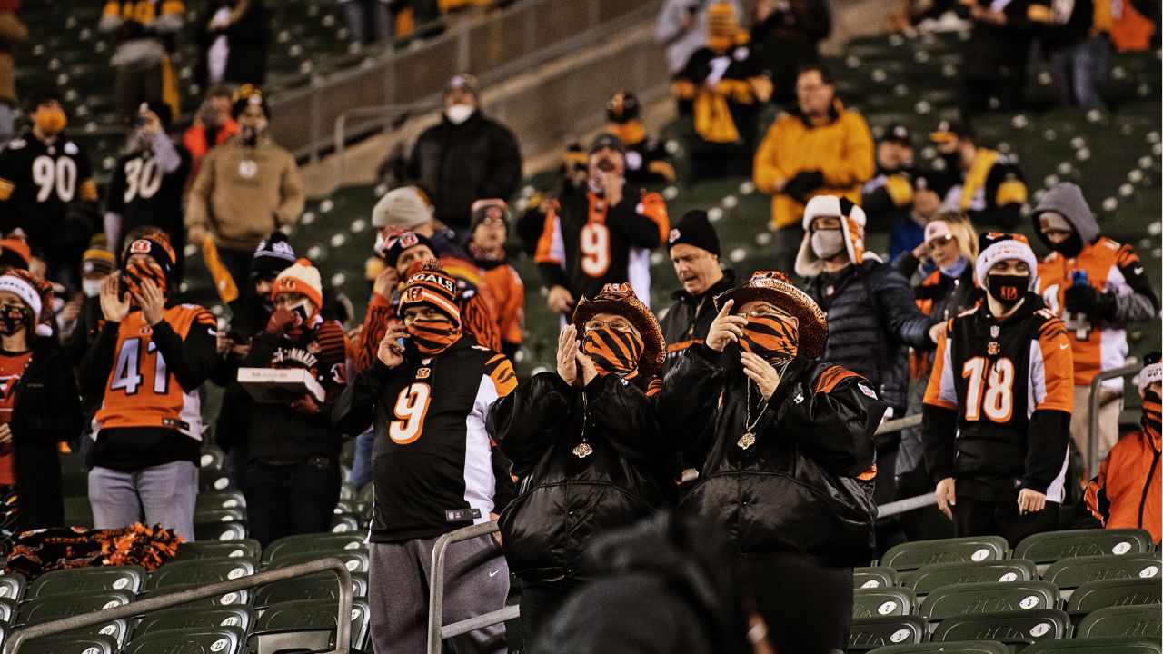 A Bengals Fan Reaction to the 2020-2021 NFL Season 