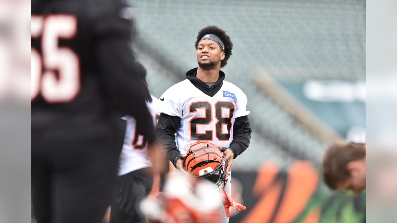 Chris Worley Promoted to the Cincinnati Bengals Active Roster From