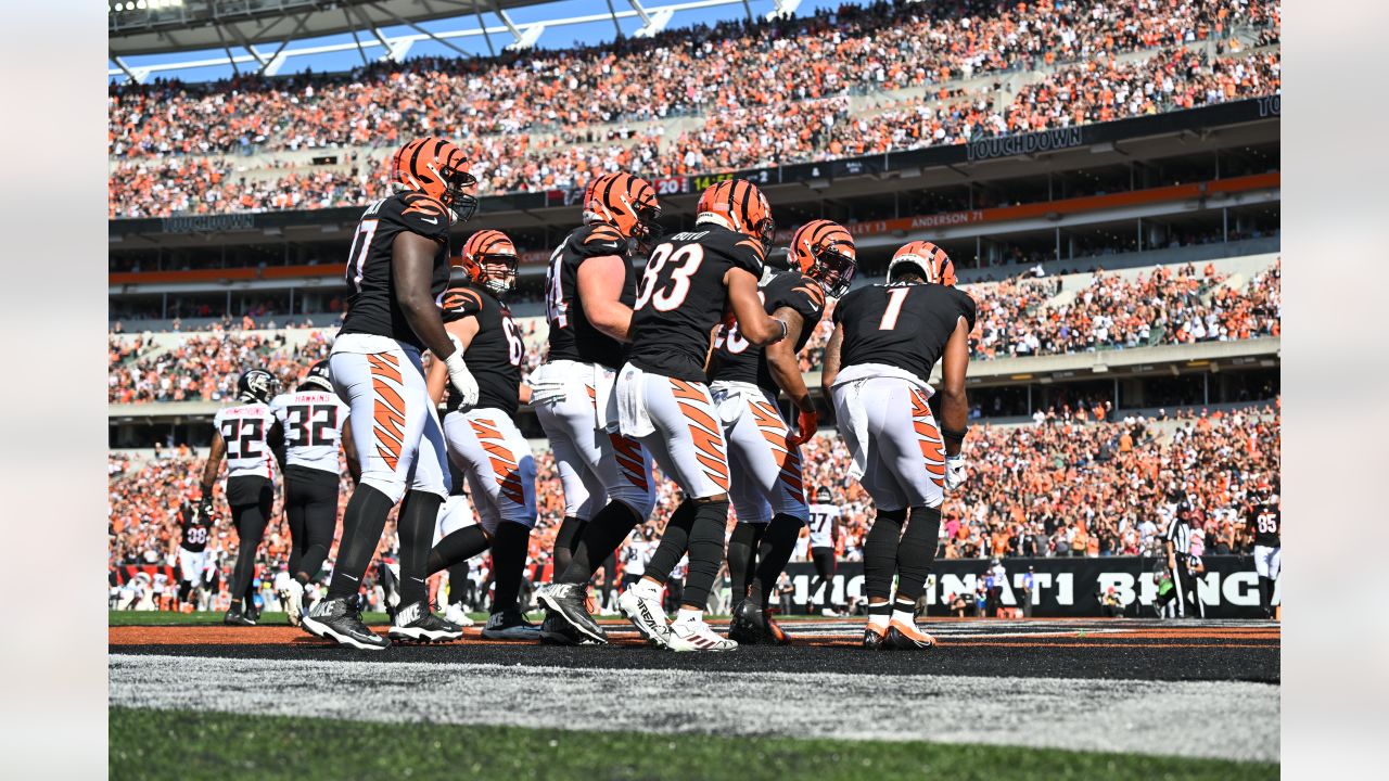 Falcons Vs Bengals Stock Photo, Picture and Royalty Free Image. Image  31382054.