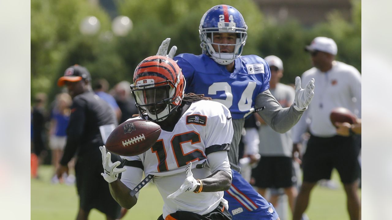 August 8, 2010:Cincinnati Bengals QB Carson Palmer (#9) during the second  session of the Bengals Training Camp in Georgetown Kentucky. (Credit Image:  © John Longo/Southcreek Global/ZUMApress.com Stock Photo - Alamy