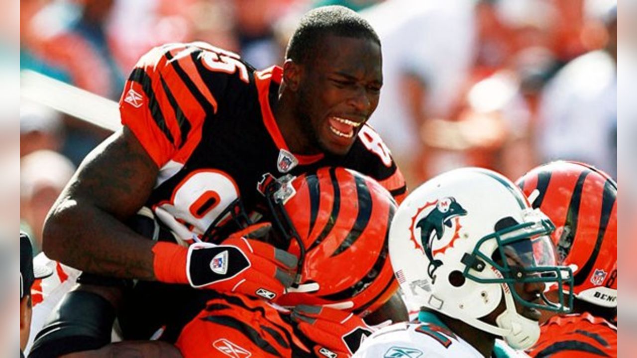 1,314 Bengals Chad Ochocinco Stock Photos, High-Res Pictures, and