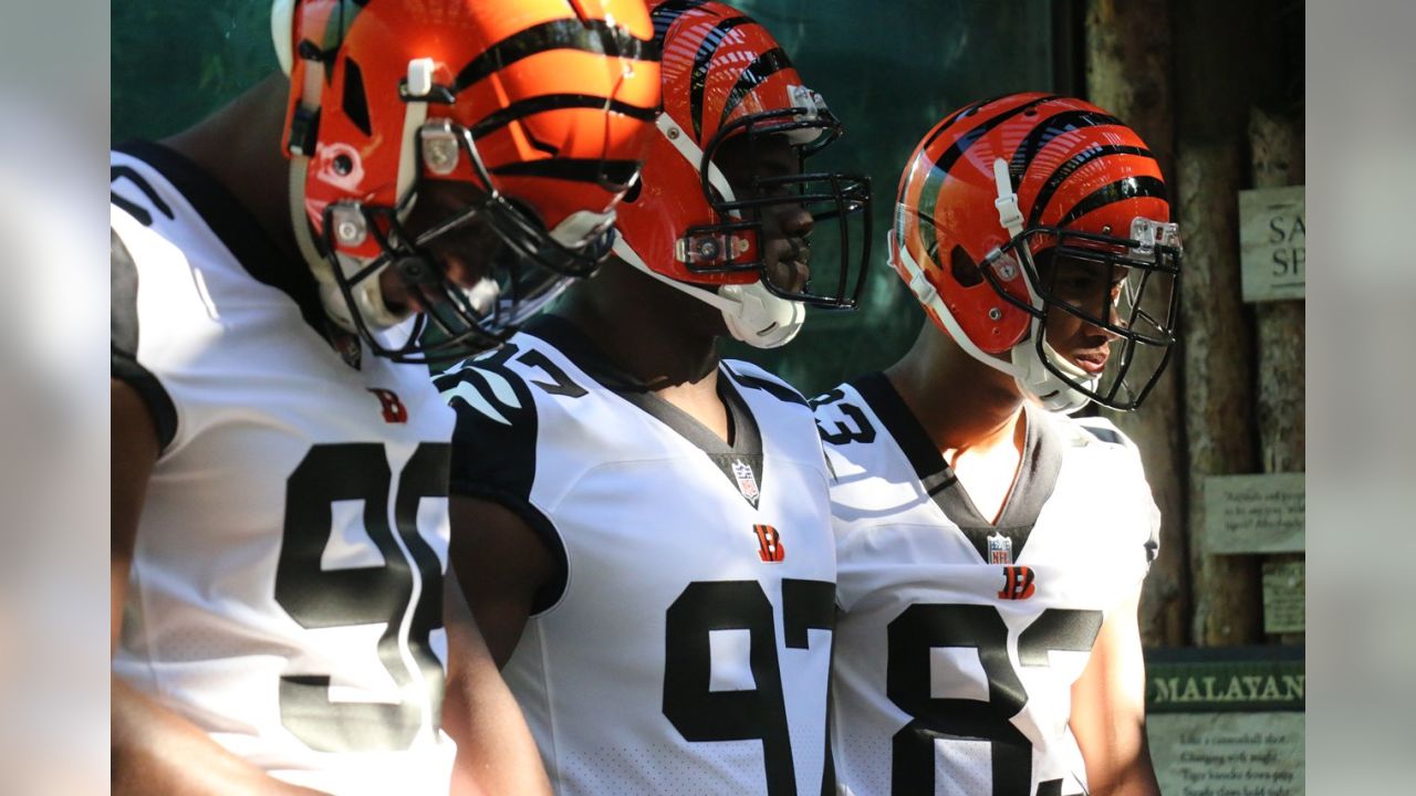 Bengals unveil Burrow color rush jersey and it's a big hit