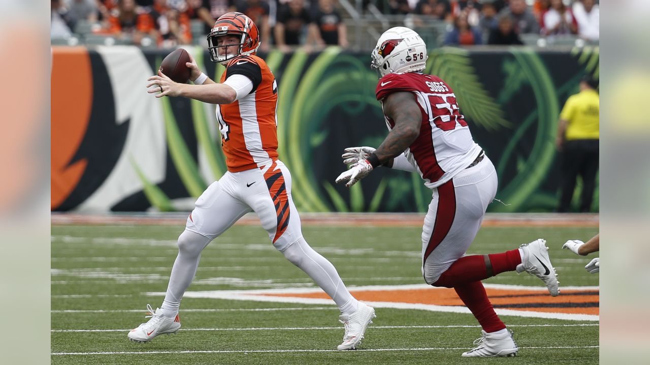 Cards Ruin Bengals Comeback