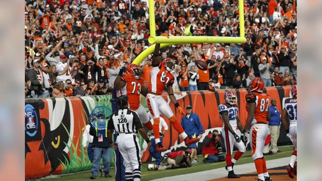 Photo: Bengals Receiver Terrell Owens In Preseason Game - CLV2010080816 