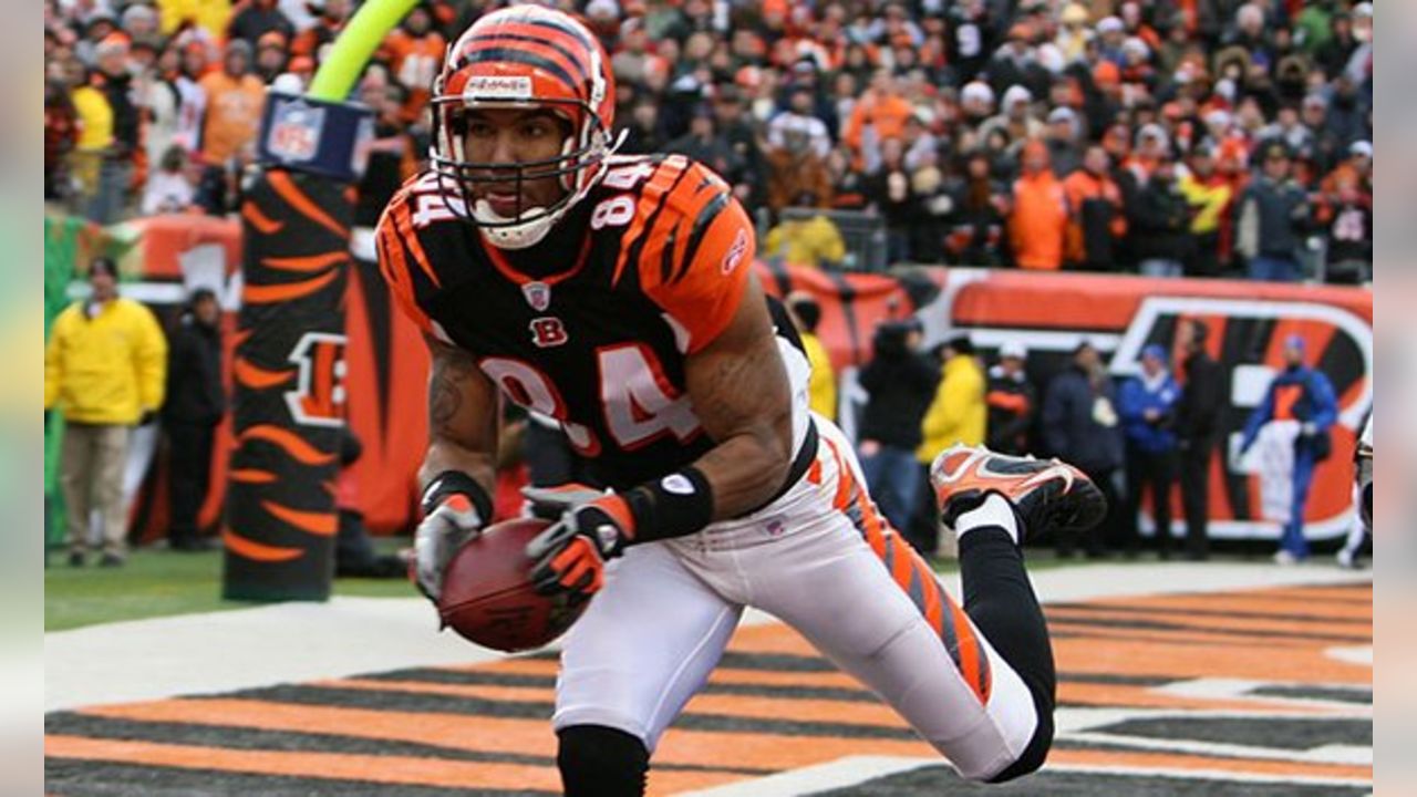 T.J. Houshmandzadeh: Cheap Bengals had used jockstraps, no Gatorade