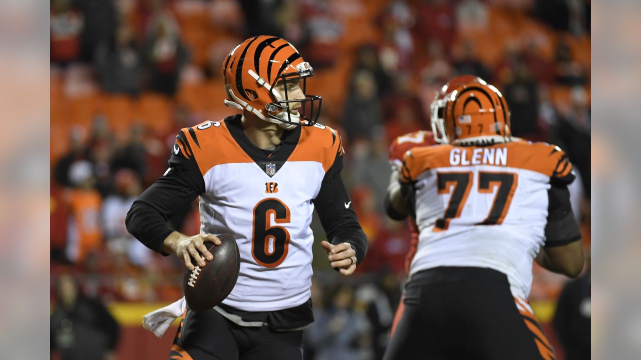 CIncinnati Bengals: Jeff Driskel open to playing other positions