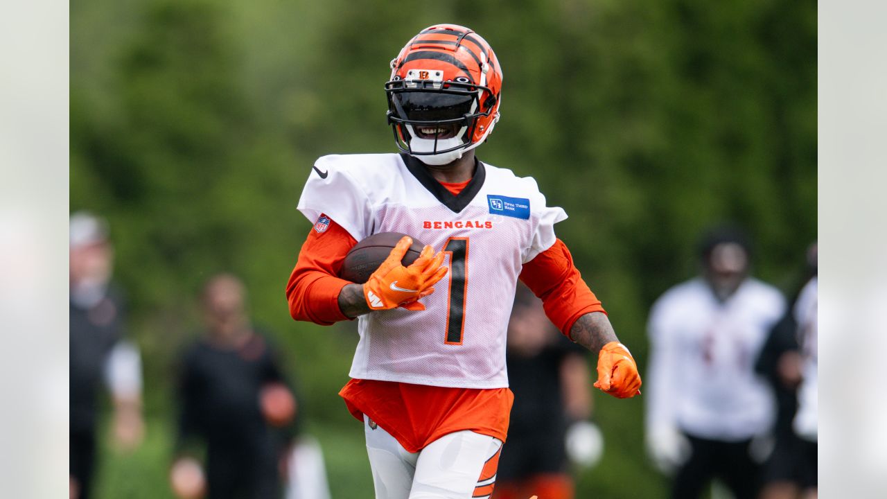 Riding shotgun with Joe Burrow: Young Bengals fan meets team, head coach at  practice