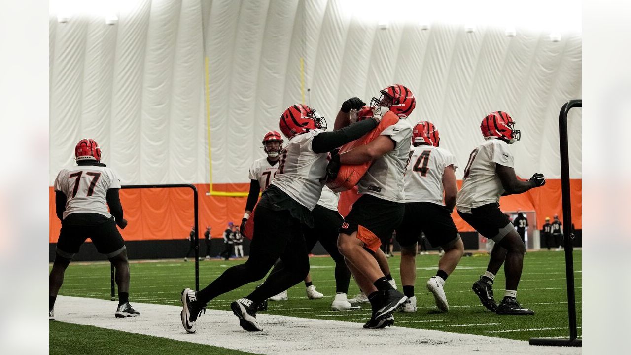 Bengals get approval for indoor practice bubble, first images revealed