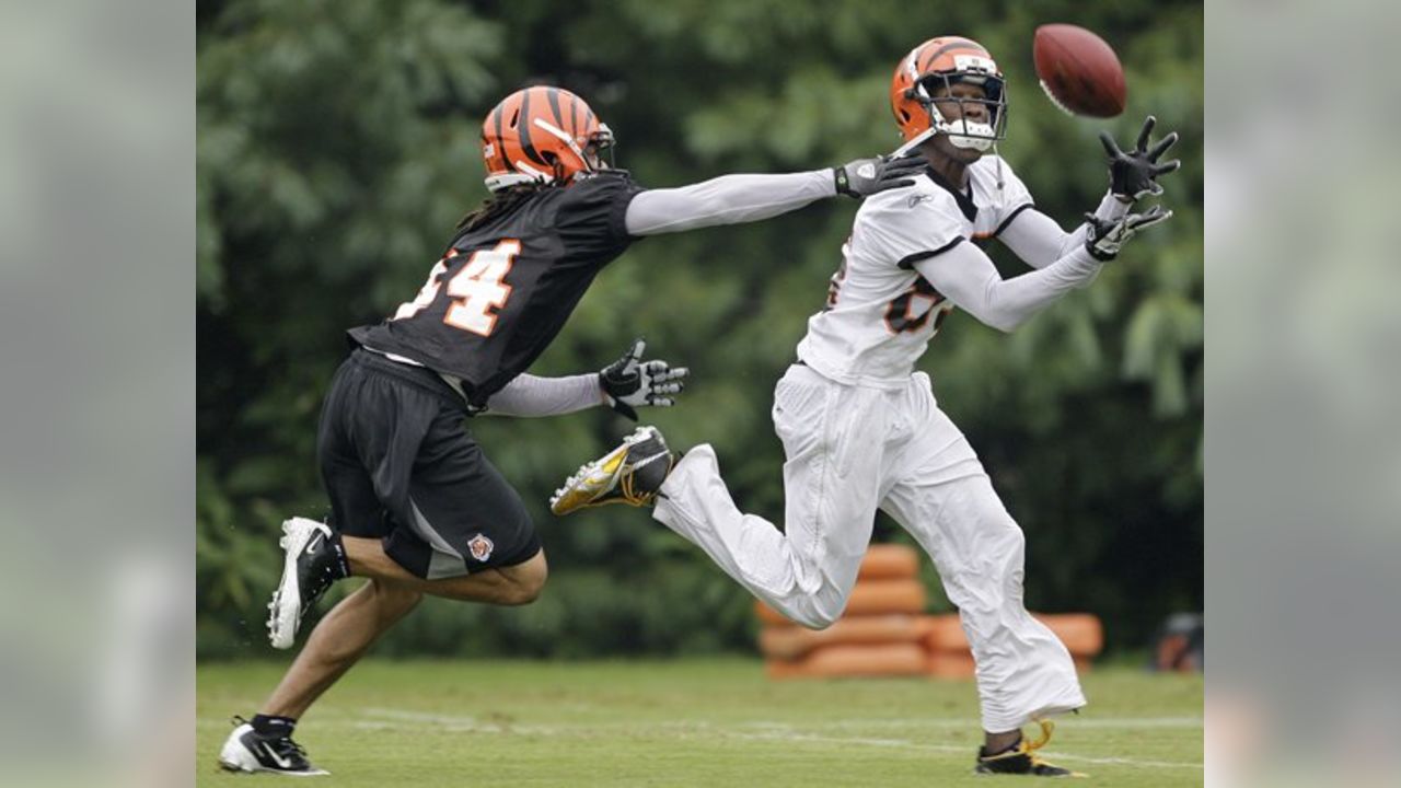 Cincinnati Bengals defensive end Antwan Odom (98) in action during football training  camp during practice Thursday, Aug. 5, 2010, at the NFL football team's training  camp in Georgetown, Ky. (AP Photo/Al Behrman