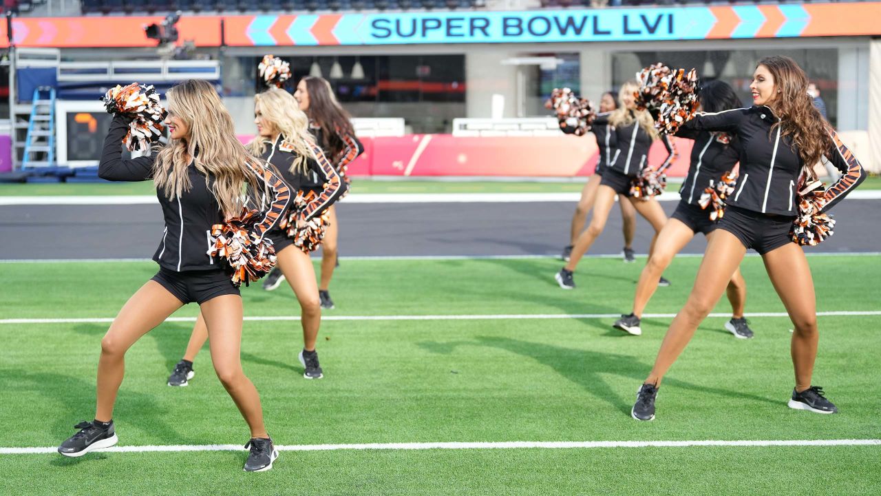 Ben-Gal Cheerleader's Super Bowl trip was 'One of a Kind'