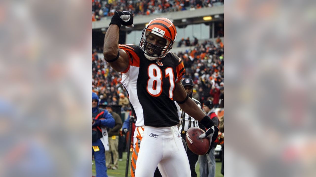 Photo: Bengals Receiver Terrell Owens In Preseason Game - CLV20100808304 