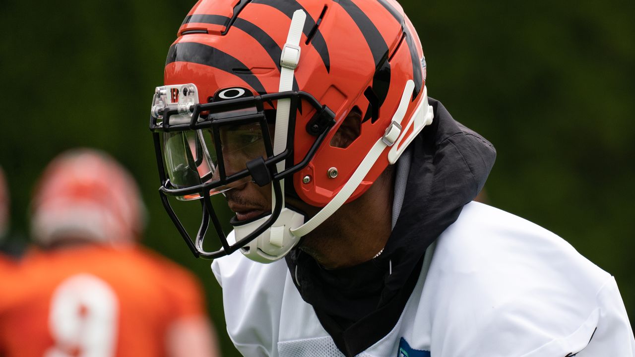 Cincinnati Bengals Quick Hits: Tee Higgins Impresses as Punter Competition  Heats Up - Sports Illustrated Cincinnati Bengals News, Analysis and More