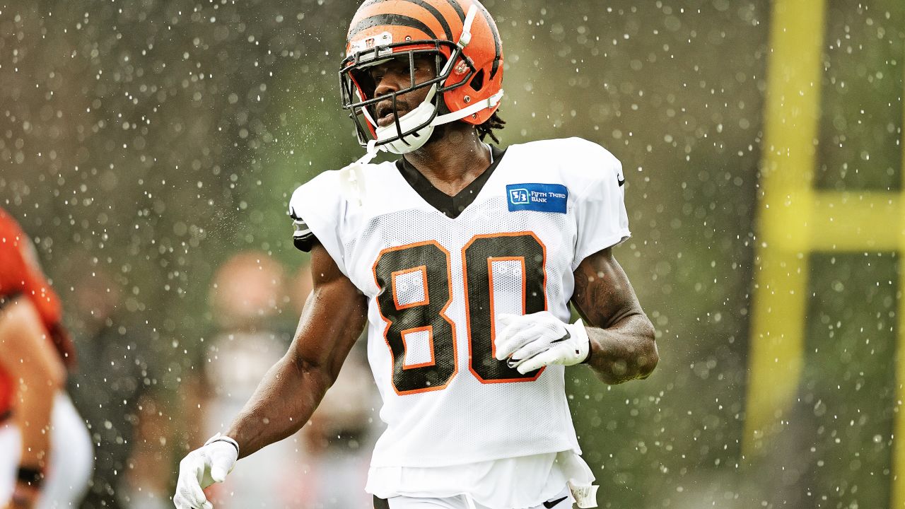 Photo Gallery  Bengals 2020 Roster