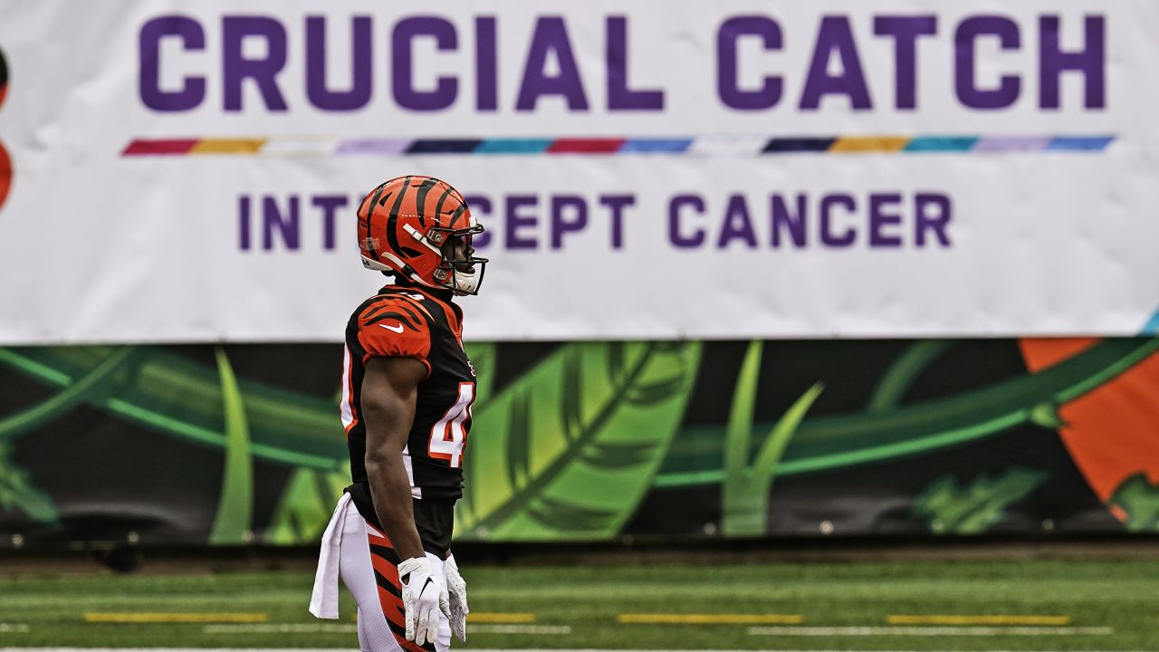 Cincinnati Bengals' Samaje Perine (34) runs past Cleveland Browns' John  Johnson III (43) during the second half of an NFL football game, Sunday,  Dec. 11, 2022, in Cincinnati. (AP Photo/Aaron Doster Stock Photo - Alamy