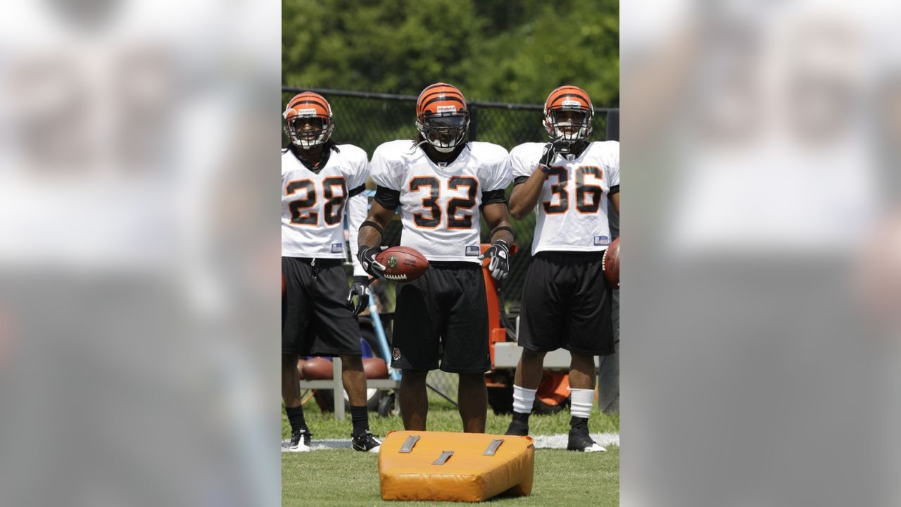 Cincinnati Bengals defensive back Johnny Sears (23) in action during  football training camp during the NFL football team's practice, Friday,  July 30, 2010, in Georgetown, Ky. (AP Photo/Al Behrman Stock Photo - Alamy