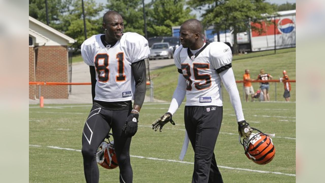 Cincinnati Bengals defensive back Johnny Sears (23) in action during  football training camp during the NFL football team's practice, Friday,  July 30, 2010, in Georgetown, Ky. (AP Photo/Al Behrman Stock Photo - Alamy