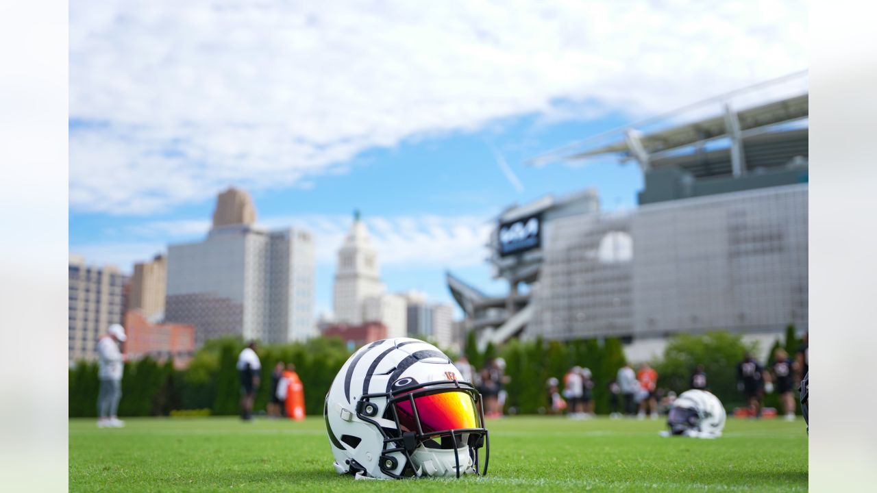 Photos: White Bengal Helmets Spotted in Cincinnati