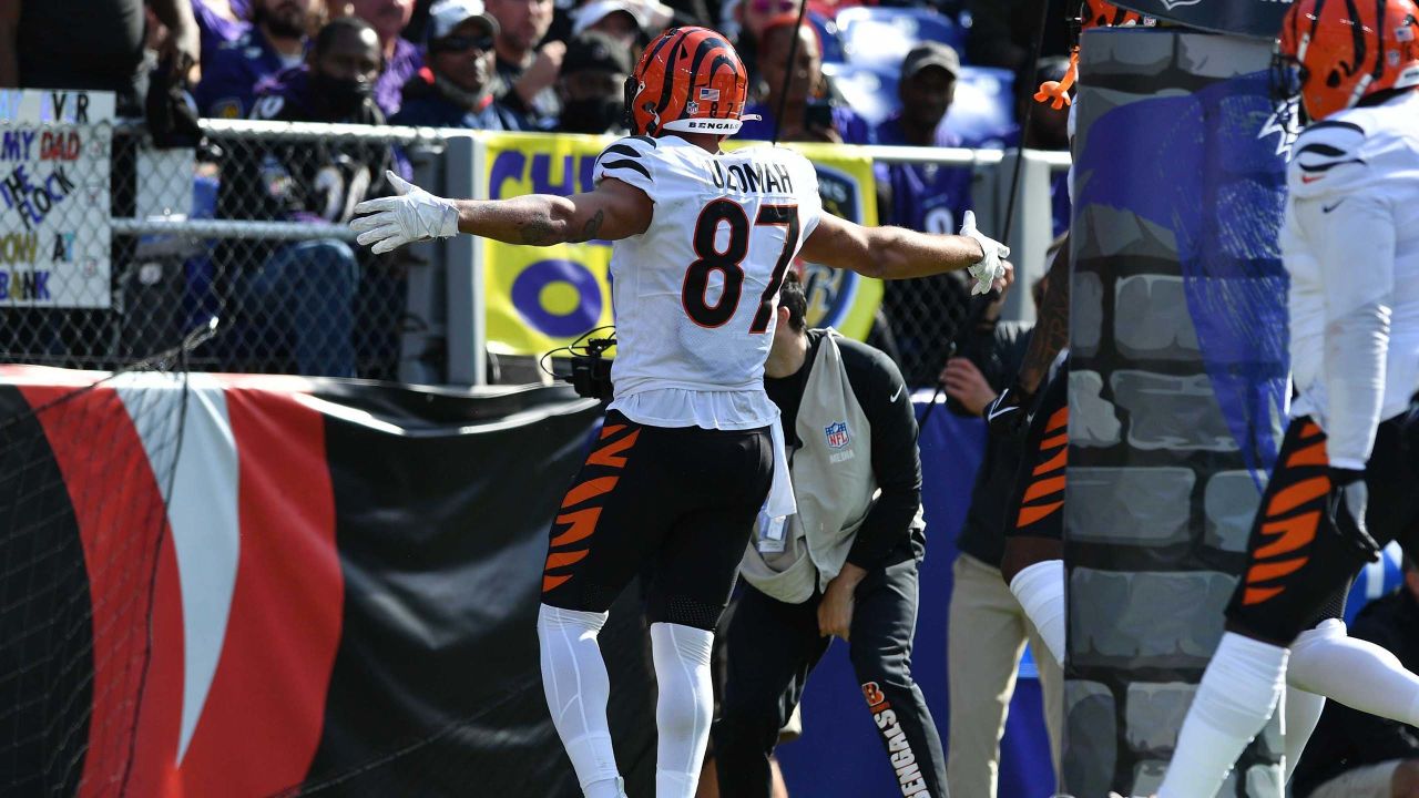 Baltimore Ravens defensive back Robert Jackson (17) runs for the play  during an NFL football game against the Cincinnati Bengals, Sunday, Dec.  26, 2021, in Cincinnati. (AP Photo/Emilee Chinn Stock Photo - Alamy