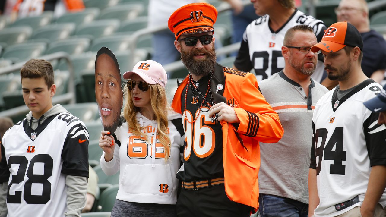 Best Photos of 2019: Bengals Fans, image size:1280x720