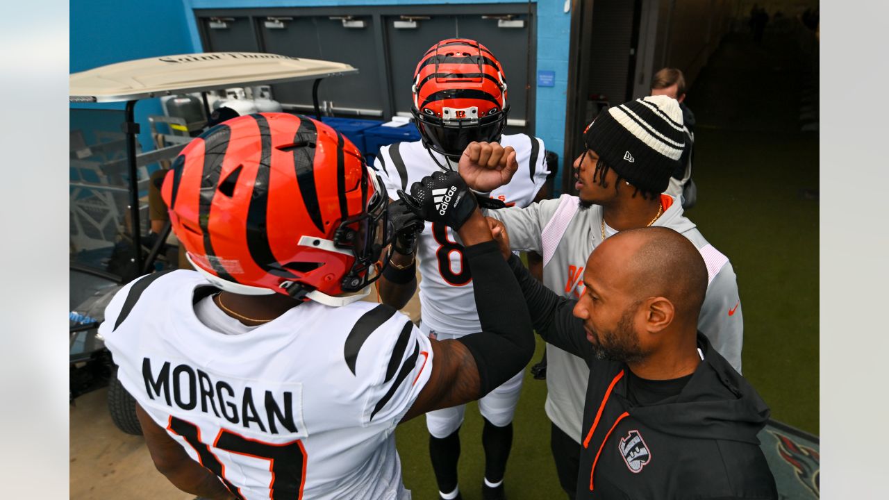 PHOTOS: Bengals Beat Titans 20-16