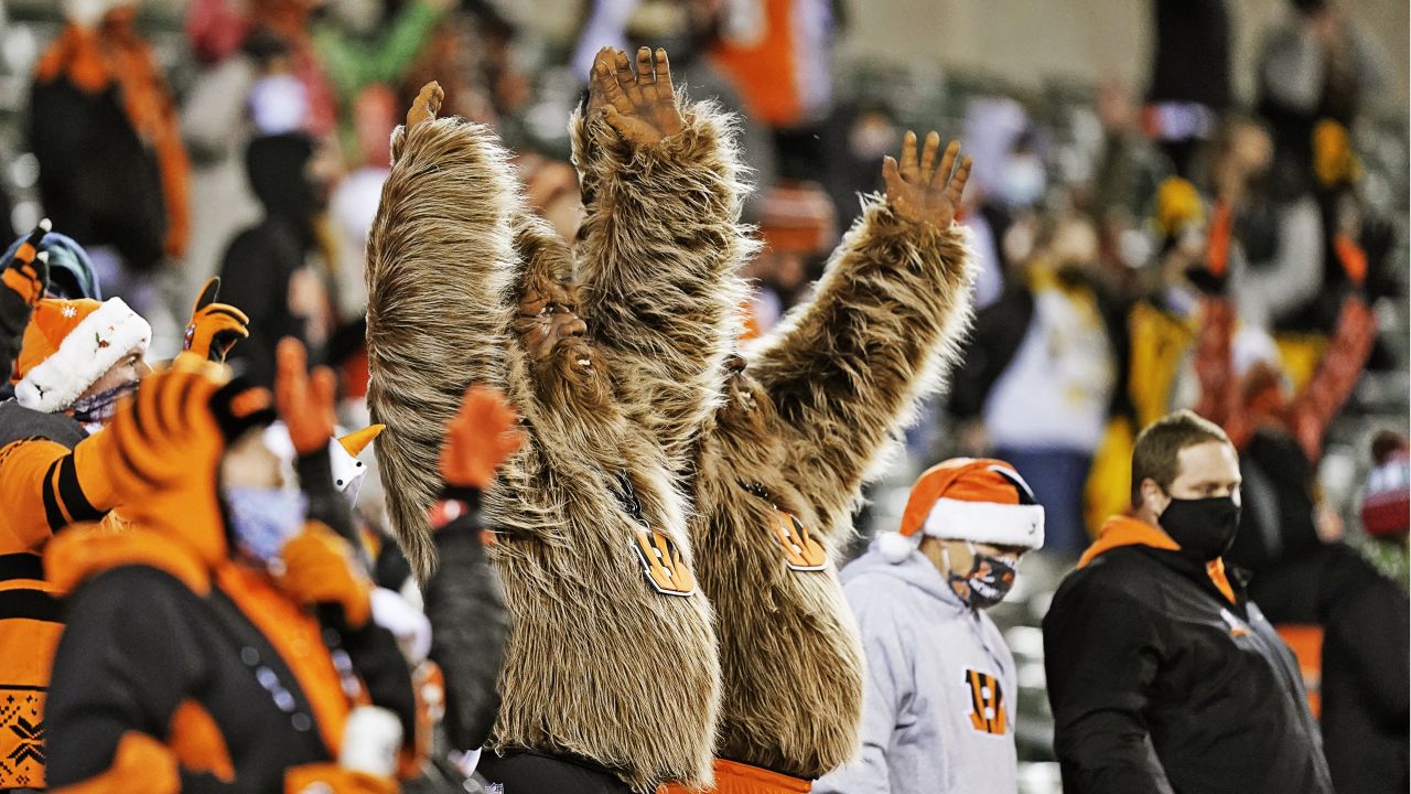 The Bengals will embark on it's biggest gameday overhaul in 22 years at  Paul Brown Stadium