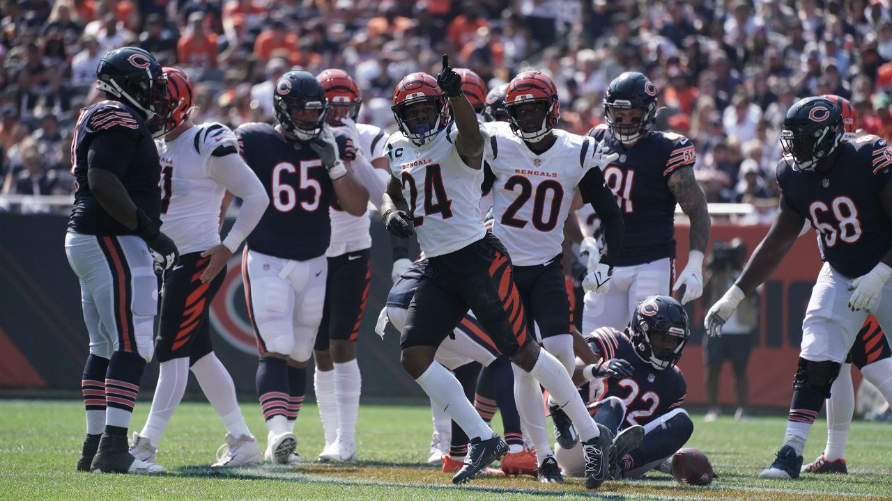 Notes: Bears secure 20-17 win with turnover-filled frenzy vs. Bengals -  Windy City Gridiron