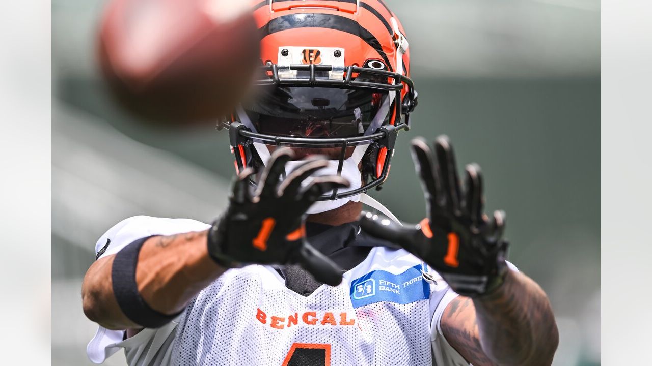 Just 3 OTAs for the Bengals?! 