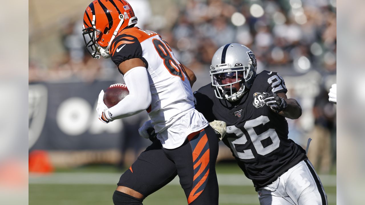 Oakland, California, USA. 17th Nov, 2019. Cincinnati Bengals wide receiver Auden  Tate (19) was taken off the field after getting hurt in a play with Oakland  Raiders safety Curtis Riley (35), during