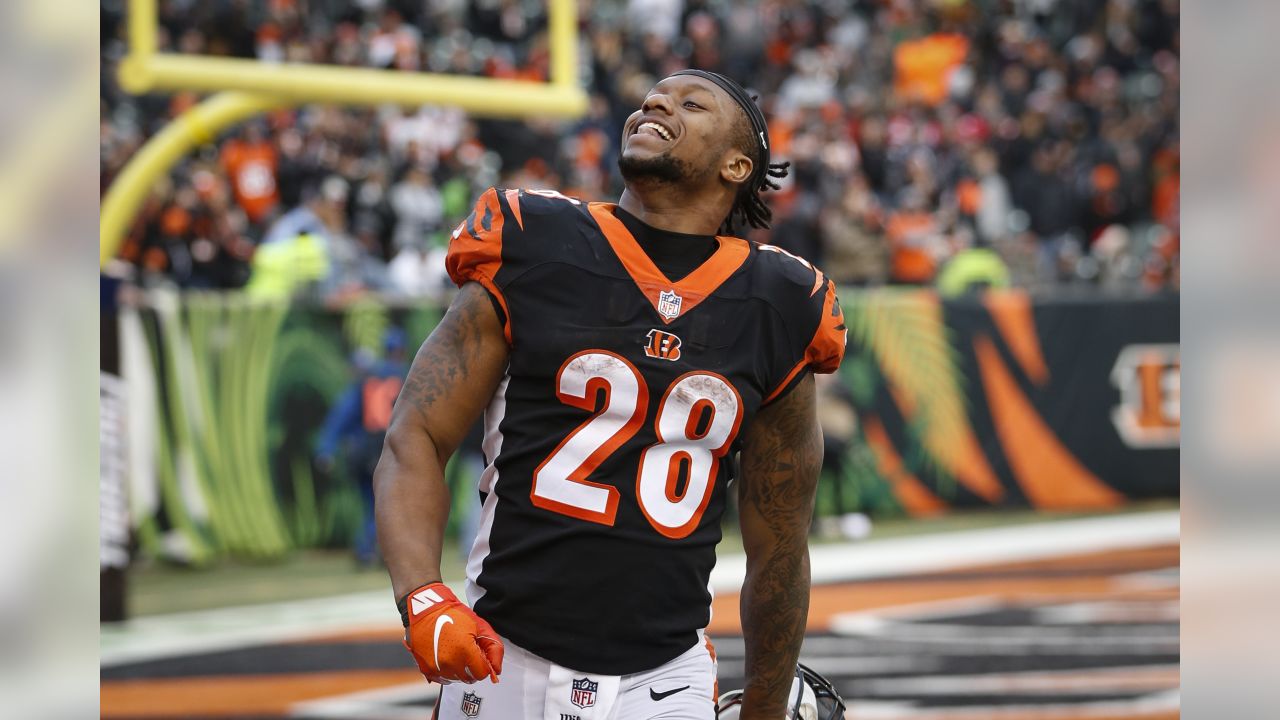 Mixon's Big Day Lifts Bengals Past Raiders, 30-16