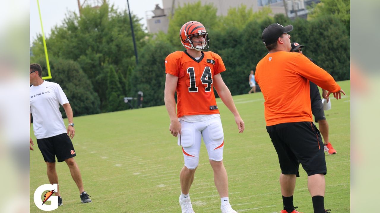 REPORTS: Cincinnati Bengals QB AJ McCarron wins arbitration case, will be  unrestricted free agent