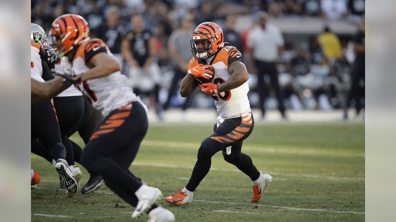 The Cincinnati Bengals look on as Bengals wide receiver Auden Tate is  carried off the field aft …