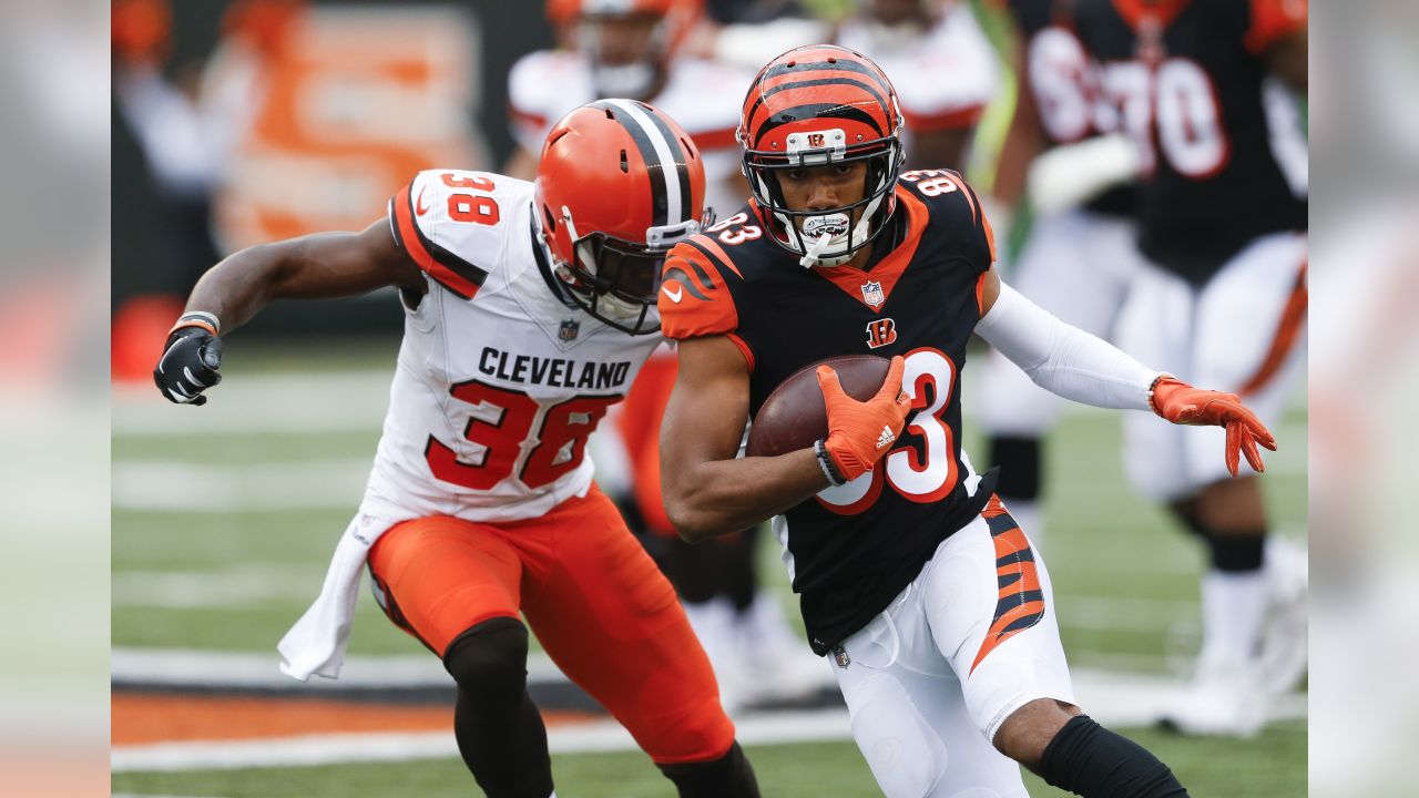 NFL Week 14 Bengals at Browns game preview: Dawgfight - Cincy Jungle