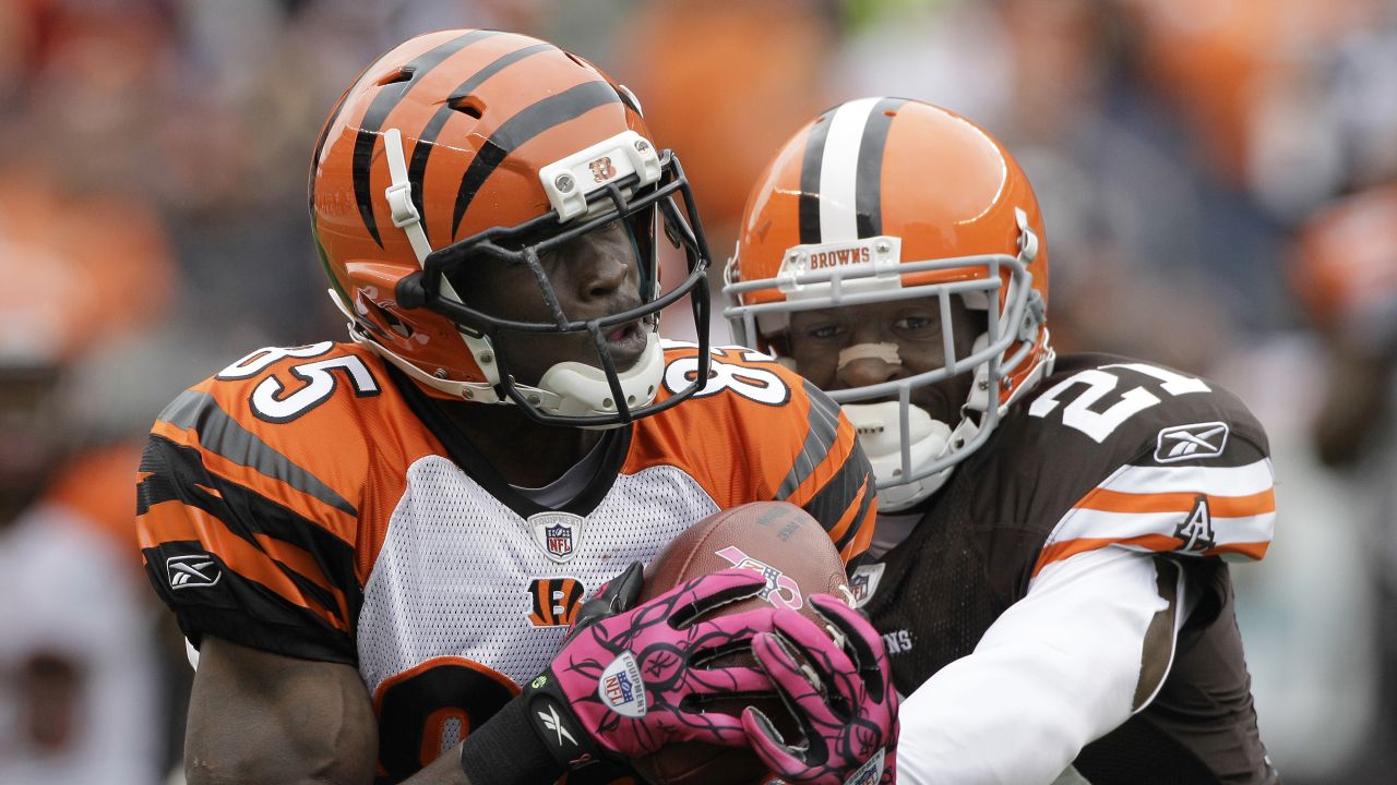 Cincinnati Bengals - Cincinnati Bengals wide receiver Terrell Owens (81)  runs after catching a pass from quarterback Carson Palmer against the  Cleveland Browns in their NFL football game on Sunday, Oct. 3