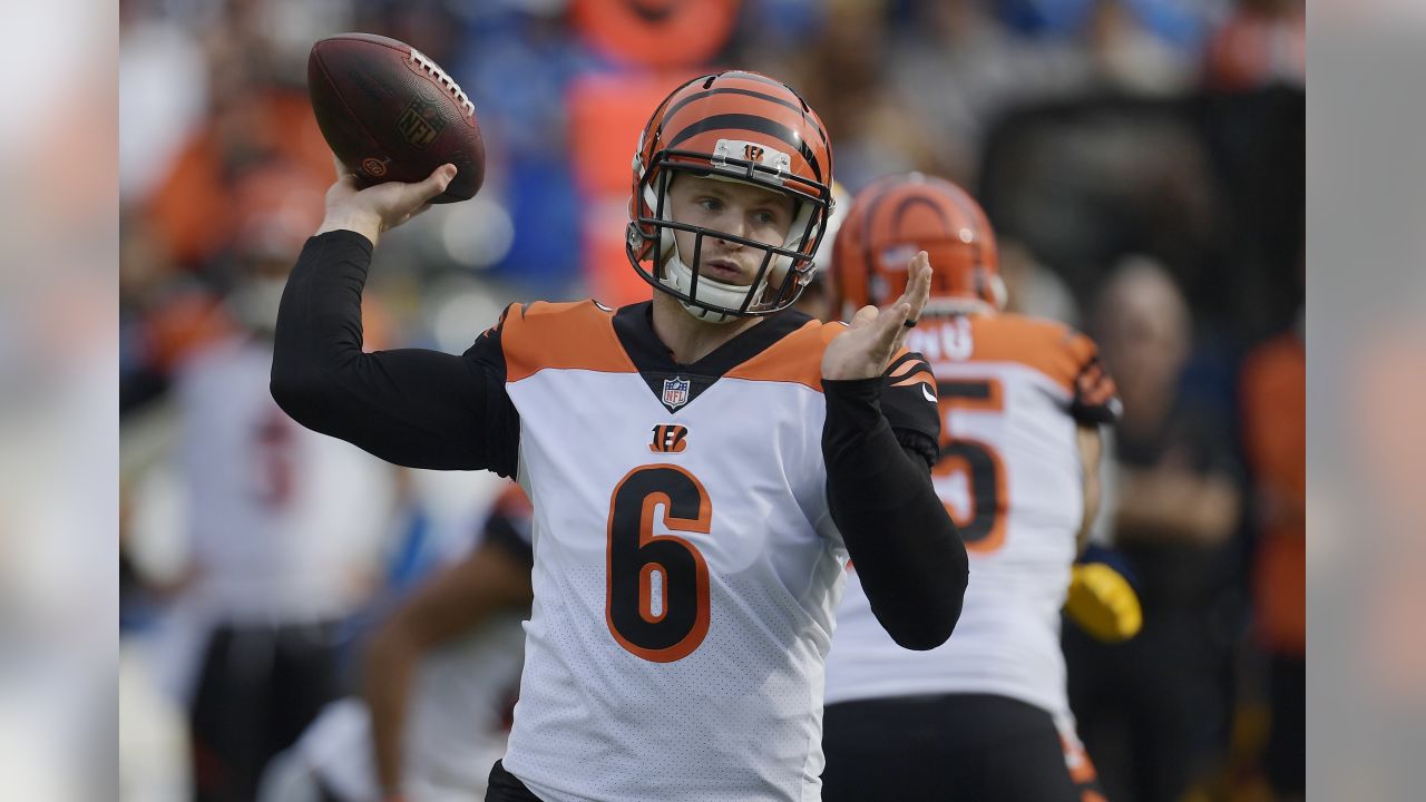 NFL Week 14 Primer: Cincinnati Bengals at Los Angeles Chargers - Cincy  Jungle