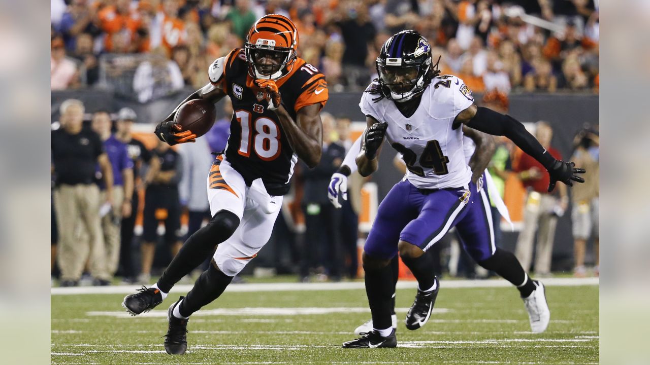 Game Preview: Ravens vs. Bengals, Week 2