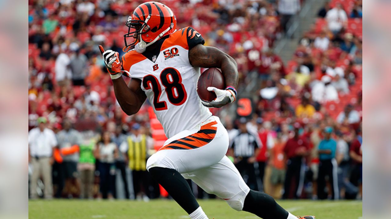 Cincinnati Bengals on X: #Bengals Game Program: This week, it's clear that  Who Dey plans to take the Colts for a ride.  / X