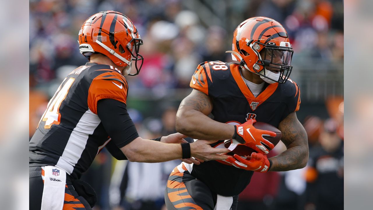 The Bengals fell to the New England Patriots 34-13 in Week 15.