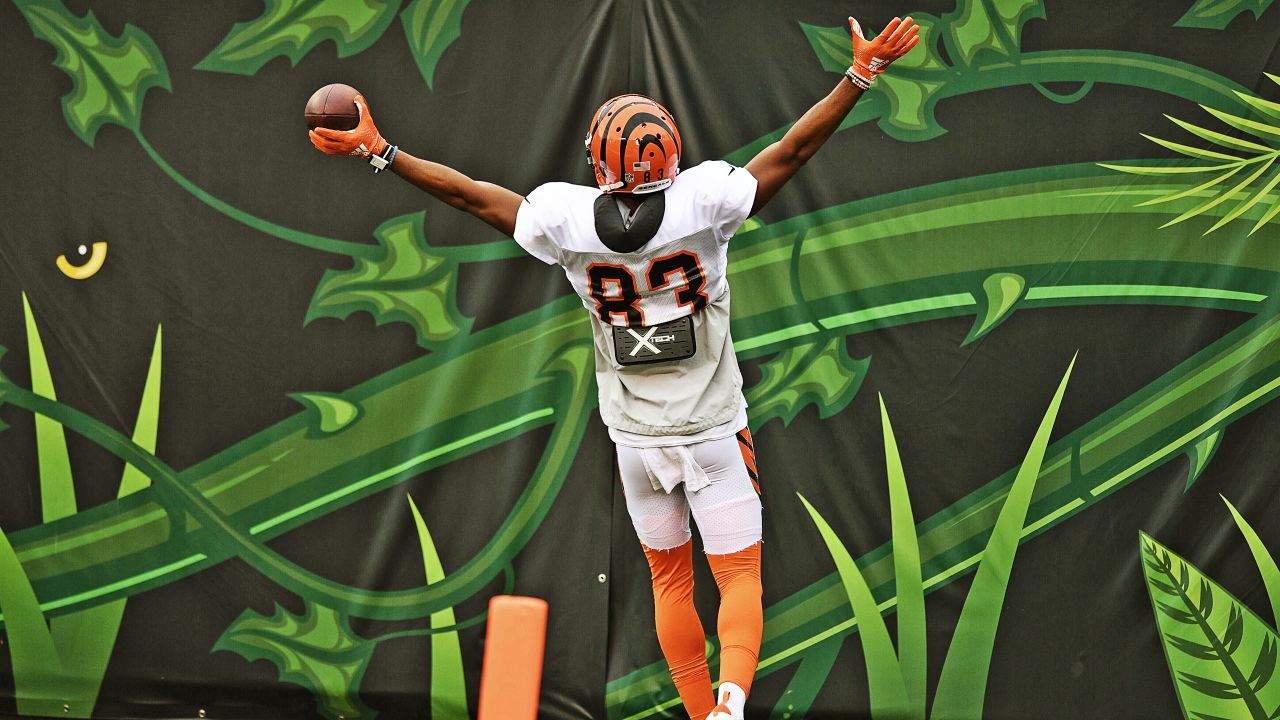 Cincinnati Bengals punt unit in good hands with Kevin Huber - ESPN - Cincinnati  Bengals Blog- ESPN