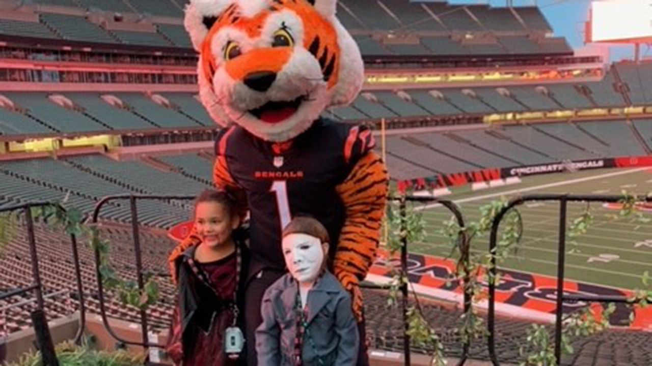 Cincinnati Bengals on X: Our #NewStripes 2021 Tour 